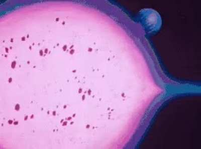 Can someone explain to me why Frieza didn't do this to planet Namek instead of using a death ball?