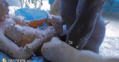 We Hit 10k Fellas!! 🎉