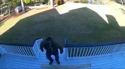 Let me test this board before nailing it in