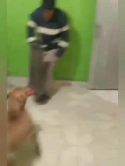 you said it was a ride, where are my balls?