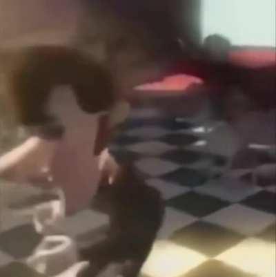 Musica para conocedores 😎👌