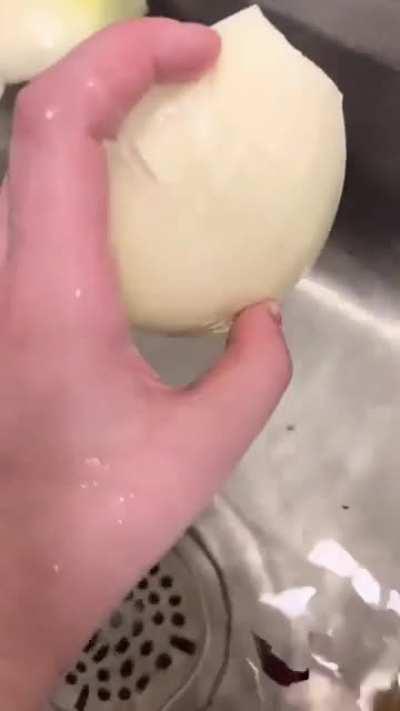 Onion becomes transparent underwater. Explanations anyone?