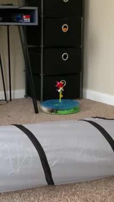 I was told this belonged here...