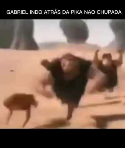 Shit merda q eu fiz