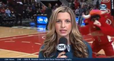 The mascot when he realizes he’s on camera