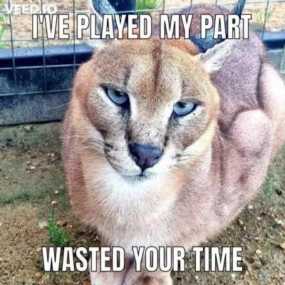 remember: floppa may sometimes have the big sad