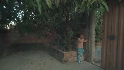 O clipe oficial do IBGE para o Funk do Censo 2022