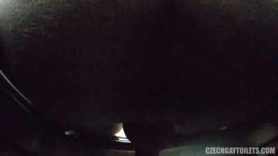 #30 (CzechGayToilets)