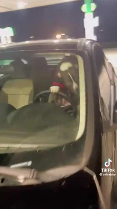 Поторопись! Я СКУЧАЮ!!