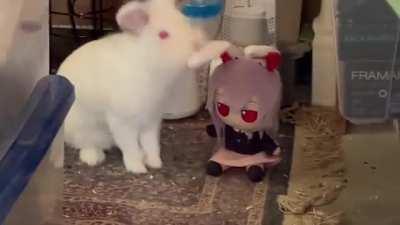 bunny and reisen