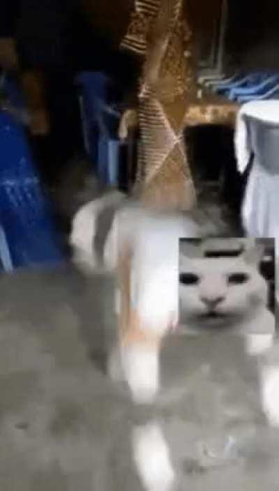 So fucking tired of hearing about r/place