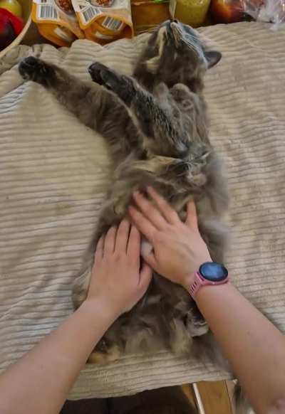 Morning pets are pure bliss for the both of us 😊