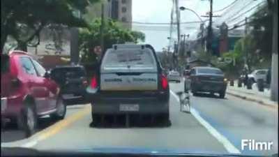 Dog chasing police car in Brazil, because his 
