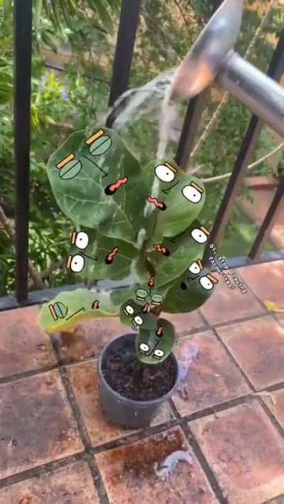 This perfectly sums up everyone in r/HydroHomies