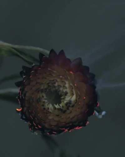 Playing with time & fire for short promo