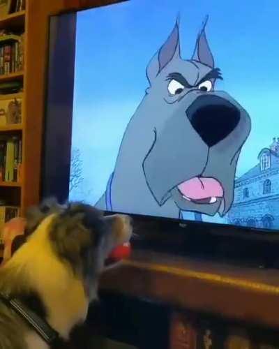 It’s getting intense, better drop the ball to concentrate!