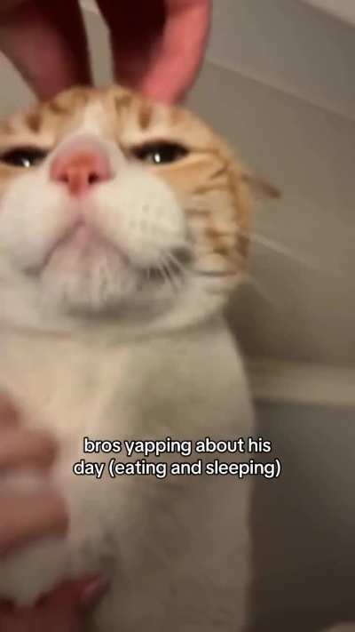 Wunk talks about his day