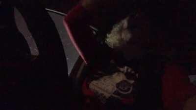 Let it snow, let it snow, let it snow! Come on it’s lovely weather for (another) car-ride together with meeee!