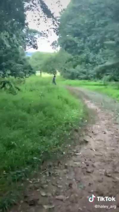 No Horror movie will ever be as scary as this video. 😰😂