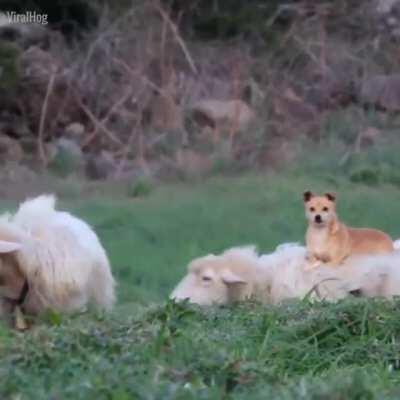 Work smarter not harder