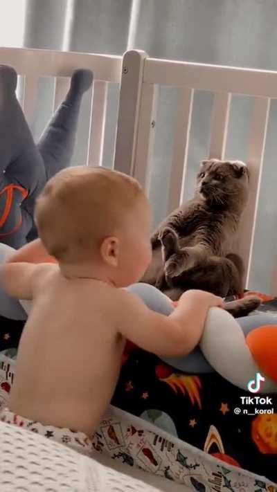 Don't move, he may not see you.