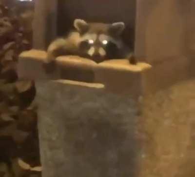 Hey, how’s it going?