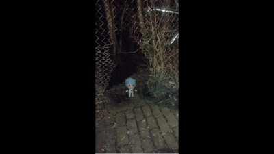 rei NOOOO😨😨😨😨