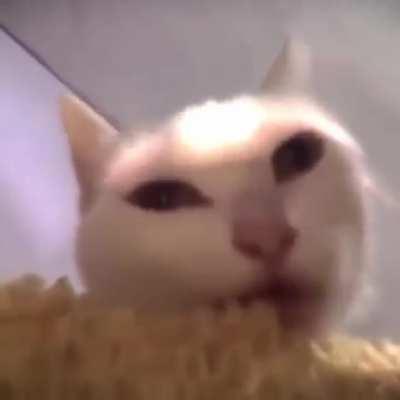 Temo q fazer uma dessas com os highlight do Doacir no Valoro