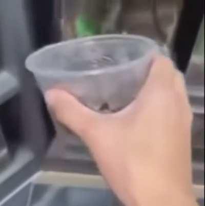 Find your happy place