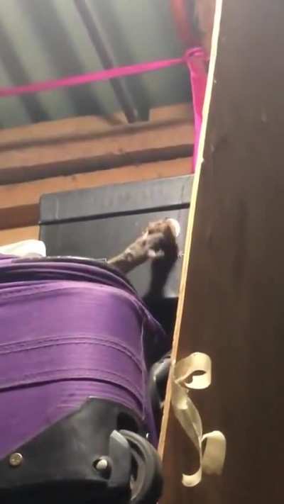 True Friend 😅🐭