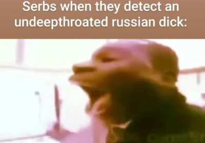 Moldova kvality best im world 🦾🦾🇹🇩