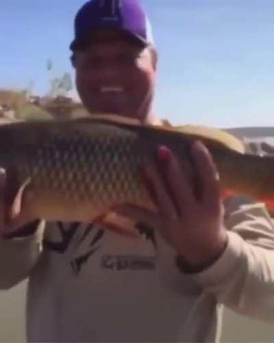 Let me just throw this fish back in the water...