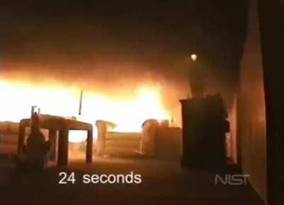 Ёлочка,гори!