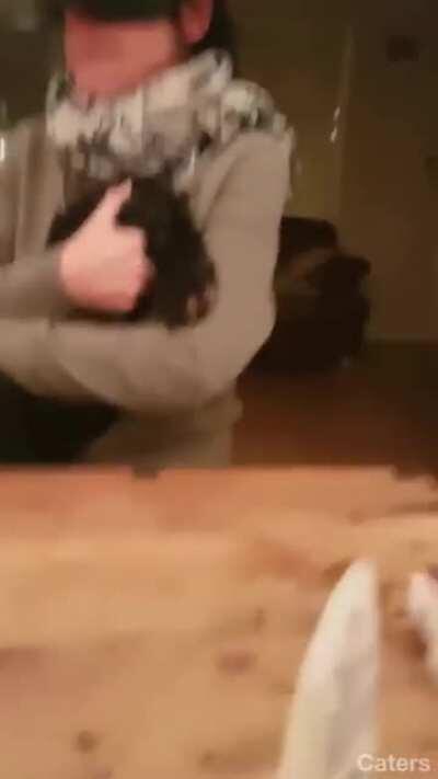 Lady grabs wrong side of the dog