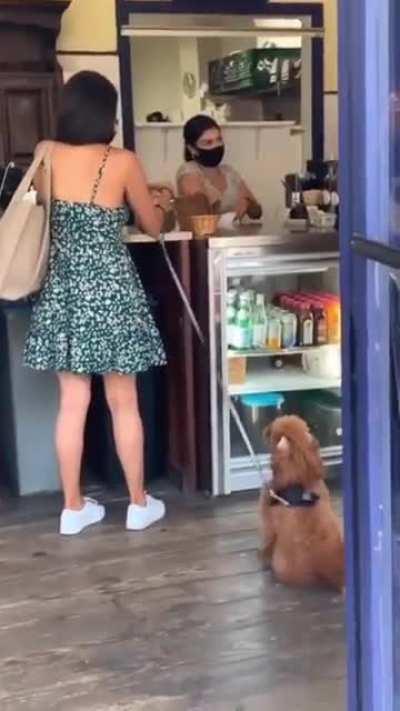 It's like his legs are made of springs