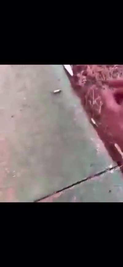 Man hits live ammo with hammer and shoots himself in the leg