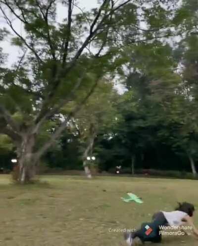 That's a Dark Souls gamer right there