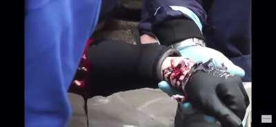 Sharks don’t be playing 😶