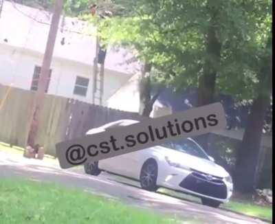 HMFT after I cut down the limb that my ladder is resting on