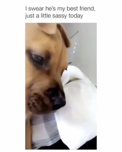 Get That Away From Me!😂😍