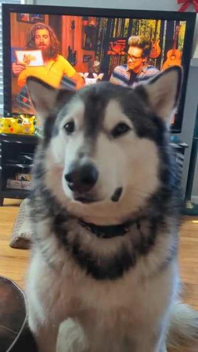 Damn you coulda just said no thank you