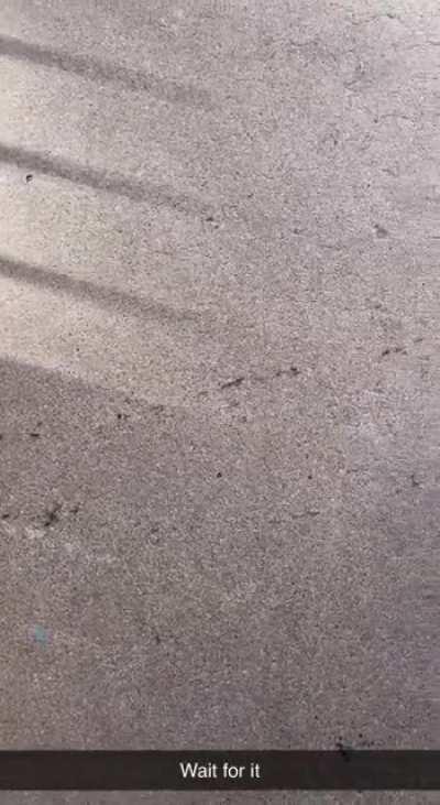 Someone at my apartment complex isn’t getting their McDonald’s this morning