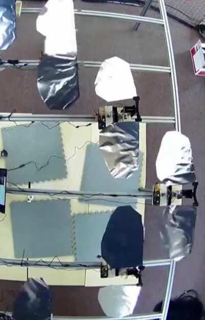 Birds aren't real Fedboi 