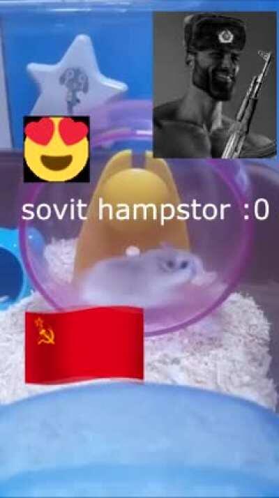 Murica Rat VS Sovit Hamsptor B)