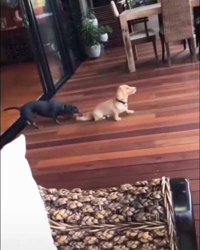 Explain the situation