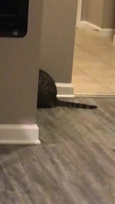 sometimes she just sits in the corner and screams at nobody