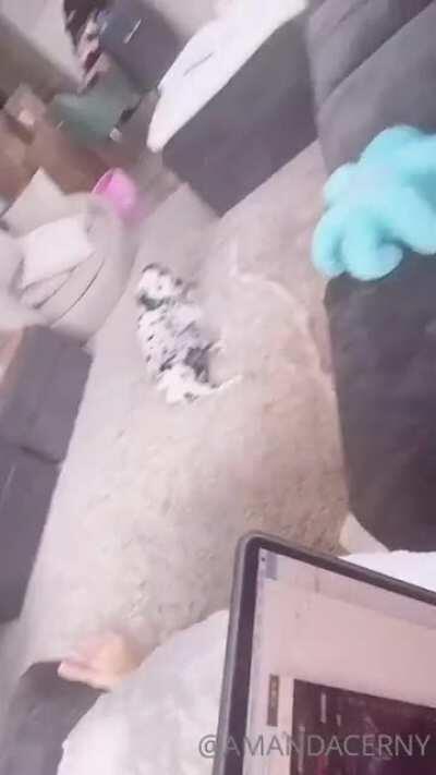 and more r/nakedonlyfans