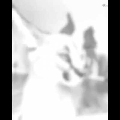 ITS FUCKING FLOPPA FRIDAY