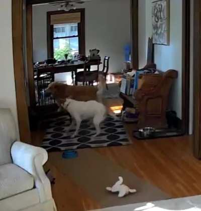 The best part of the day 