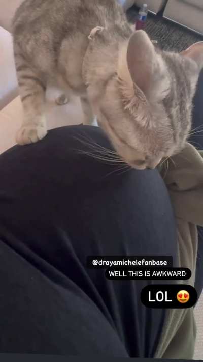 #drayamichele What’s going on here ?